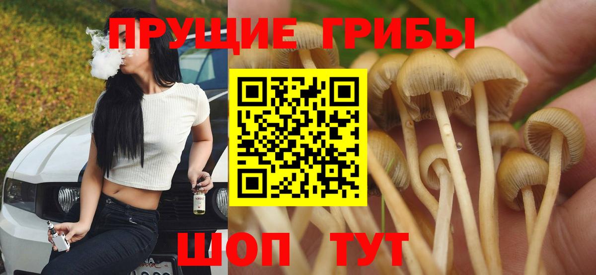 где купить наркоту  Галлюциногенные грибы Cubensis  Галлюциногенные грибы мицелий  Вход с VPN  Ленинск-Кузнецкий 